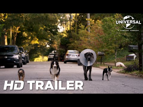 Doggy Style | Offizieller Red Band Trailer deutsch/german HD