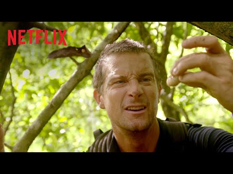 Du gegen die Wildnis | Interaktive Serie | Offizieller Trailer | Netflix