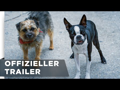 Doggy Style | Offizieller Trailer #3 deutsch/german HD