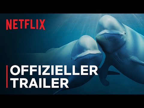 Unsere Ozeane | Barack Obama | Offizieller Trailer | Netflix