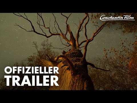 DAS GEHEIME LEBEN DER BÄUME I Offizieller Trailer