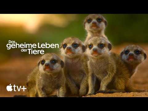 Das geheime Leben der Tiere | Offizieller Trailer | Apple TV+