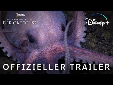 Die geheimnisvolle Welt der Oktopusse | Jetzt exklusiv streamen | Disney+